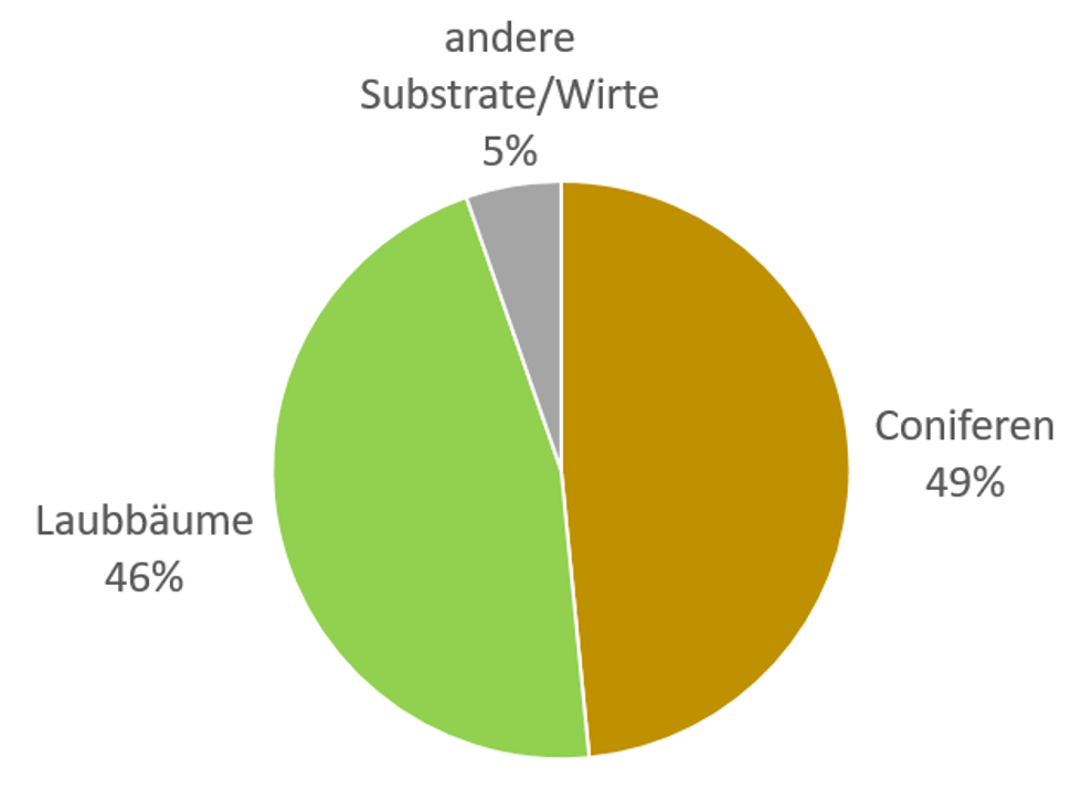 Substrate