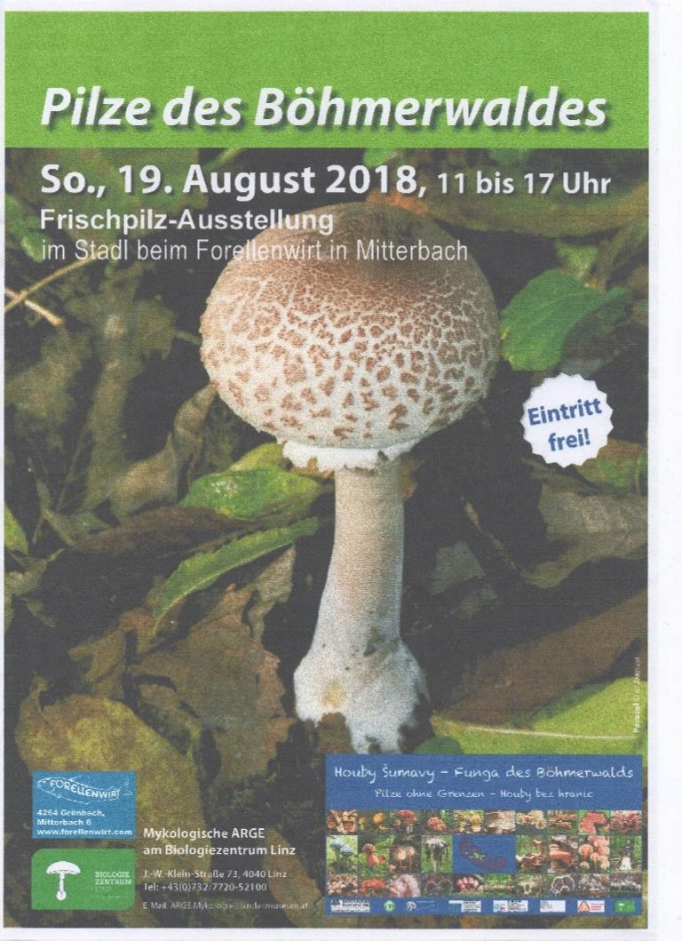 ausstellung08_18_Plakat.jpg