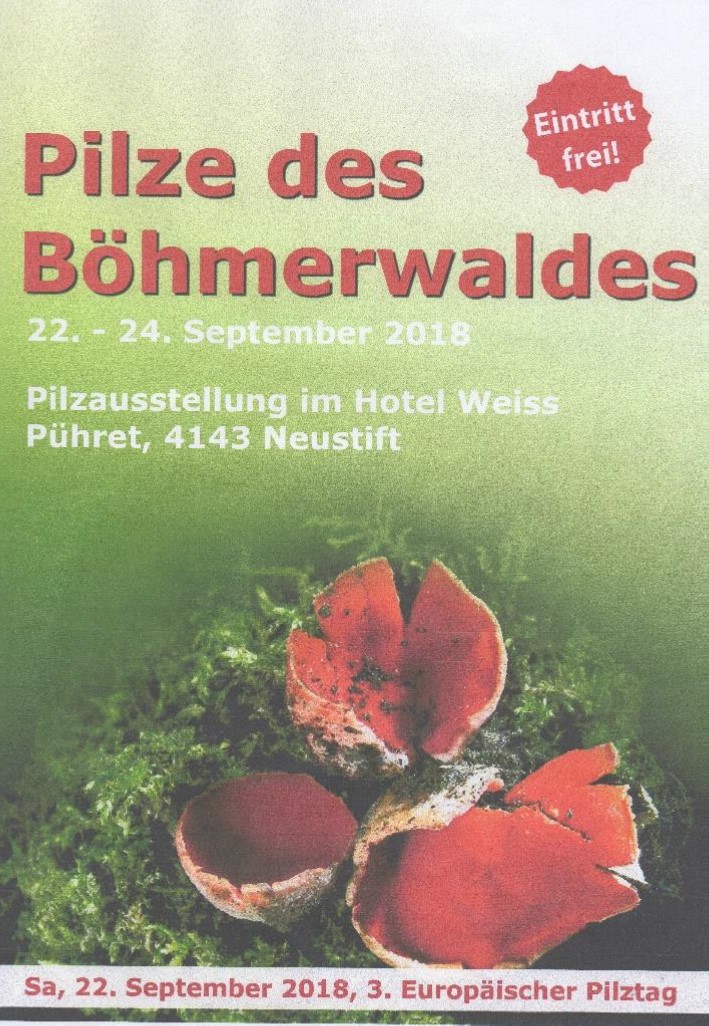 ausstellung09_18_Plakat.jpg